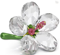 Cristalleria Swarovski in Cristallo 5690534 - 5690534